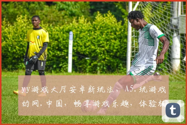 yy游戏大厅安卓新玩法，A5.玩游戏的网.中国，畅享游戏乐趣，体验极致娱乐，尽在新玩法