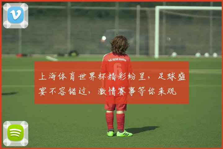 上海体育世界杯精彩纷呈，足球盛宴不容错过，激情赛事等你来观