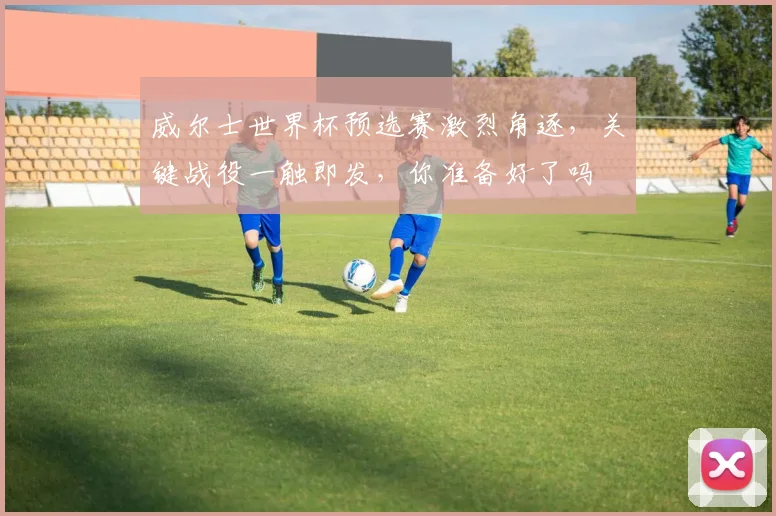 威尔士世界杯预选赛激烈角逐，关键战役一触即发，你准备好了吗