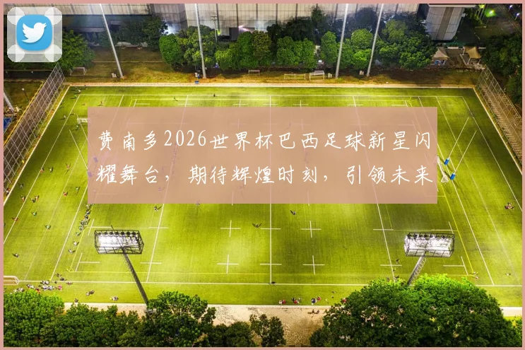 费南多2026世界杯巴西足球新星闪耀舞台，期待辉煌时刻，引领未来